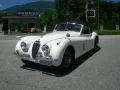 Jaguar XK 120