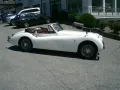 Jaguar XK 120