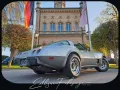 Corvette C3-78´ Corvette Anniversary Silver Edition-220PS