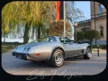 Corvette C3-78´ Corvette Anniversary Silver Edition-220PS