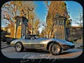 Corvette C3-78´ Corvette Anniversary Silver Edition-220PS