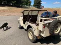Jeep Willys
