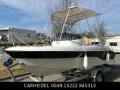 Other POSEIDON BLU WATER 540 mit 100PS +Blyss-Trailer 