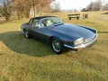 Jaguar XJSC  Bügelcabrio