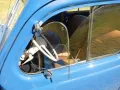 Renault Oldtimer 4 CV