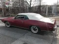 Pontiac GTO Cabriolet Restauriert