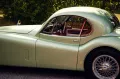 Jaguar 120