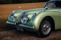 Jaguar 120