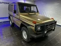 Mercedes-Benz G 300 DE-AUTO 79TKM AHK STNDHZG ALU