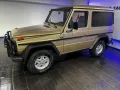 Mercedes-Benz G 300 DE-AUTO 79TKM AHK STNDHZG ALU