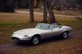 Jaguar E-Type SIII V12 Roadster