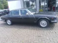 Jaguar XJ12 Luxus V12