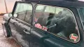 MINI Mini Cooper 35 Jahre Sonder-Edition