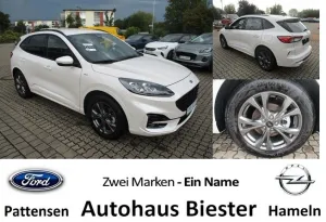 Ford Kuga ST-Line X   PDC+Assist + LED + Kamera  PA