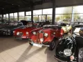 MG TD - und tatsächlich seit 1951 im Erstbesitz!!