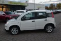 Fiat Panda Hybrid 1.0 GSE