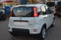 Fiat Panda Hybrid 1.0 GSE