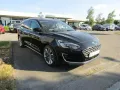 Ford Focus Vignale - Navi/Leder/Key Free/