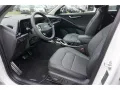 Kia Niro EV Inspiration WP Navi LED ACC Harman/Kardo
