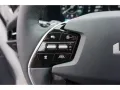 Kia Niro EV Inspiration WP Navi LED ACC Harman/Kardo
