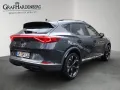 Cupra Formentor 1.5 TSI DSG LED Navi AHK SHZ Klima