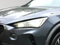 Cupra Formentor 1.5 TSI DSG LED Navi AHK SHZ Klima