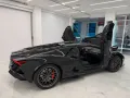 Other Lamborghini Revuelto Carbon