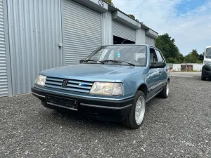 Peugeot 309 Vital