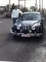 Jaguar MK2 Bj. 1965 Schalter RHD Matching ...