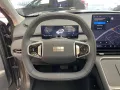 Geely Starray EM-i MAX+ PHEV 360 Grad Kamera Pano Flym
