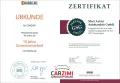 Toyota Prius+ 1.8 Hybrid Executive Pano 7-Sitzer 1.Hand