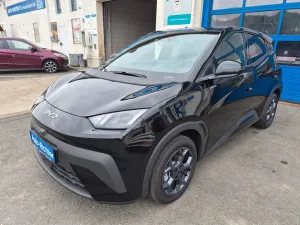 BYD DOLPHIN Surf 43.2kWh Comfort Sitzheizung