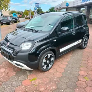 Fiat New Panda /Pandina/Panda Hybrid