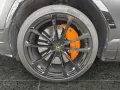 Lamborghini Urus B&O*Night Vision*Akrapovic*Panorama*Massage