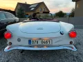 Auto Union 1000 SP Roadster, 1 von 1640, restauriert