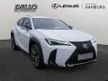 Lexus UX 300h F Sport Design SHZ NAVI LENKRADHEIZUNG