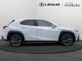 Lexus UX 300h F Sport Design SHZ NAVI LENKRADHEIZUNG