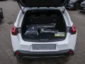 Lexus UX 300h F Sport Design SHZ NAVI LENKRADHEIZUNG