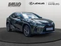 Lexus UX 300h F Sport Design LED FACEL. el. Heckkl.