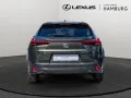 Lexus UX 300h F Sport Design LED FACEL. el. Heckkl.