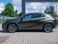 Lexus UX 300h F Sport Design LED FACEL. el. Heckkl.