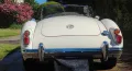 MGA