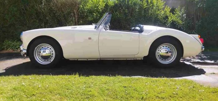 MGA