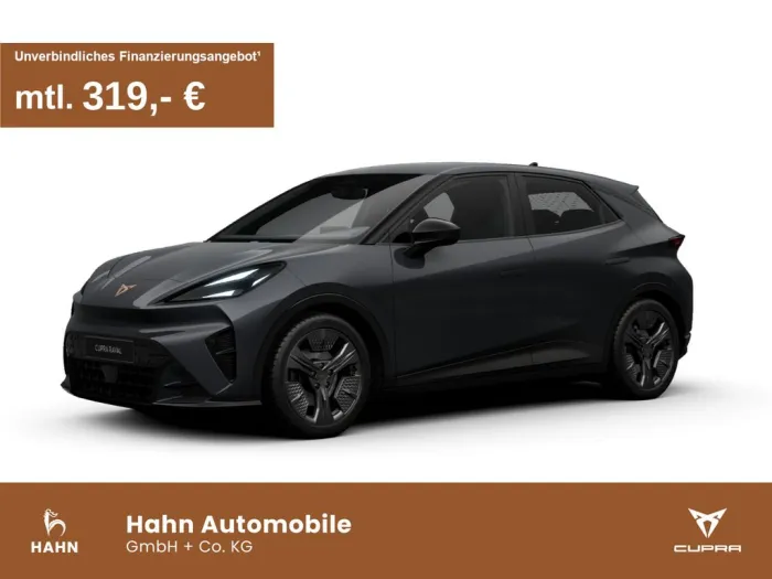 Cupra Raval Endurance Edition Dynamic PDC Ausparkass L