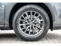 Lexus NX 450h+ 450 h+ E-Four Executive Panoramadach In