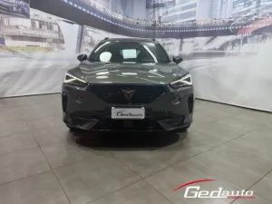 Other CUPRA Formentor 2.0 TSI DSG Tribe Edition 245CV 