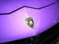 Lamborghini Urus Performante - Penteo wheels - Carbon
