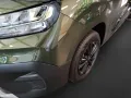 Fiat Qubo L 5-Sitzer ICON