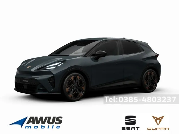 Cupra Raval KEYLESS MEMORY PDC SHZ KAMERA NAVI ACC