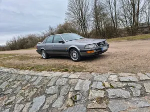 Audi V8 D11